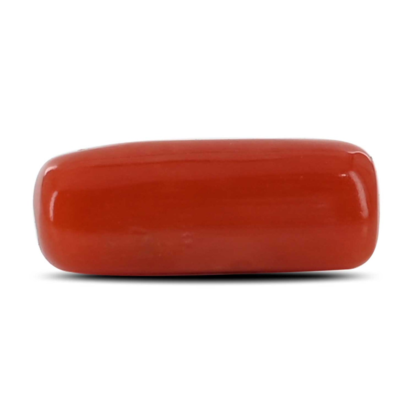 Red Coral (Moonga) - 4.76 Carat