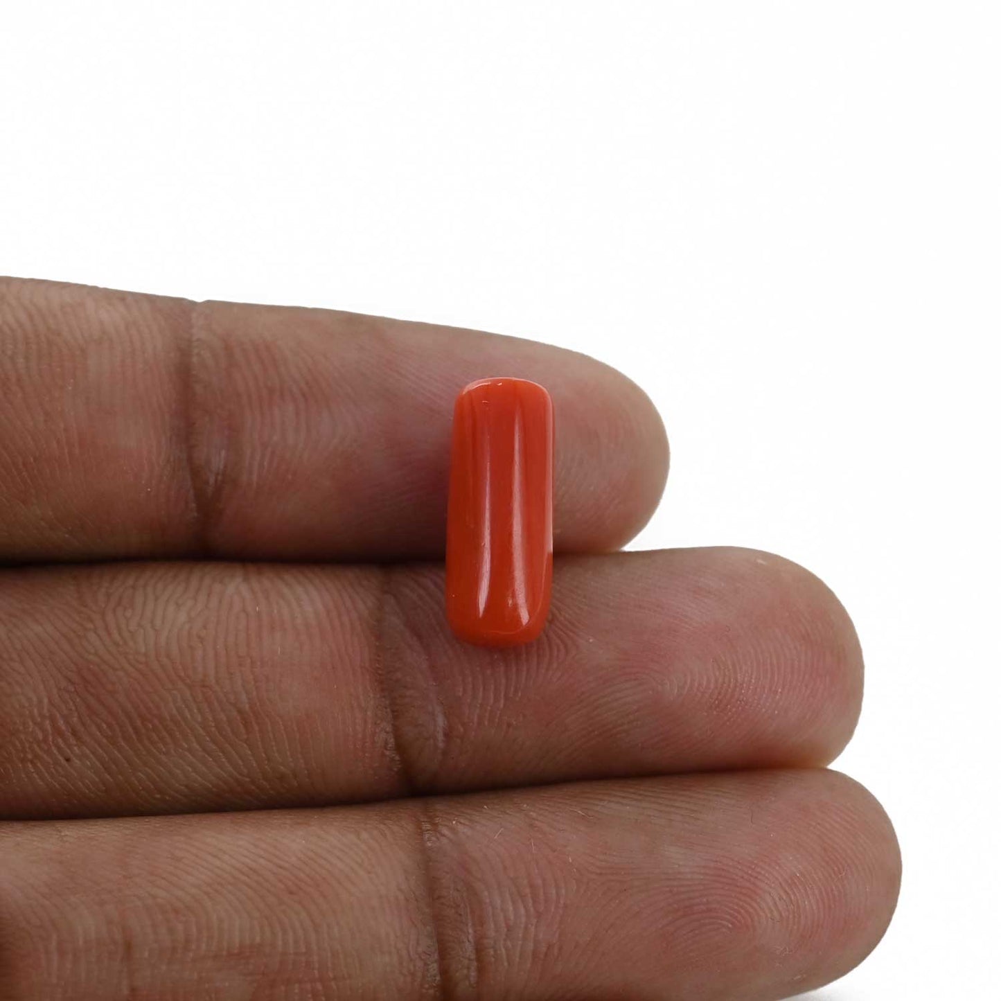 Red Coral (Moonga) - 4.76 Carat