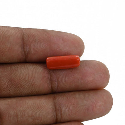 Red Coral (Moonga) - 4.76 Carat