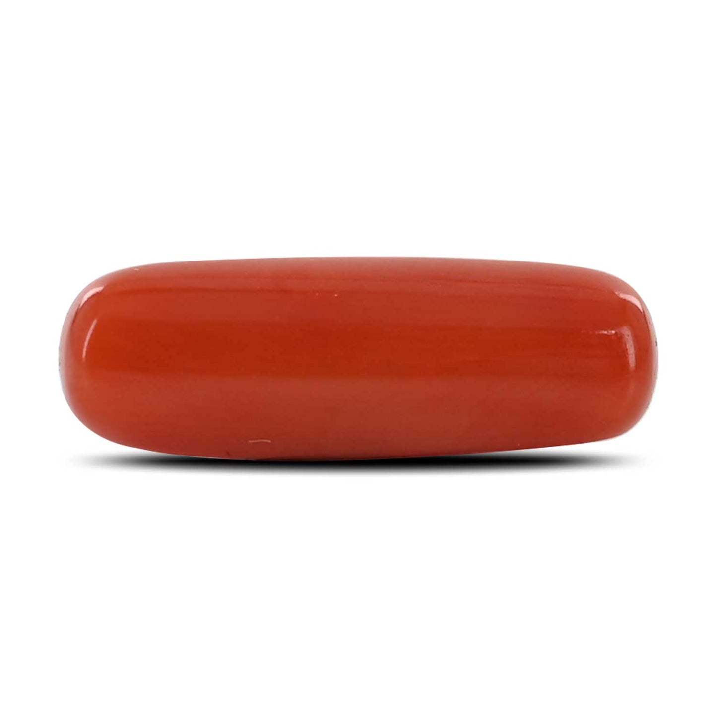 Red Coral (Moonga) - 6.33 Carat