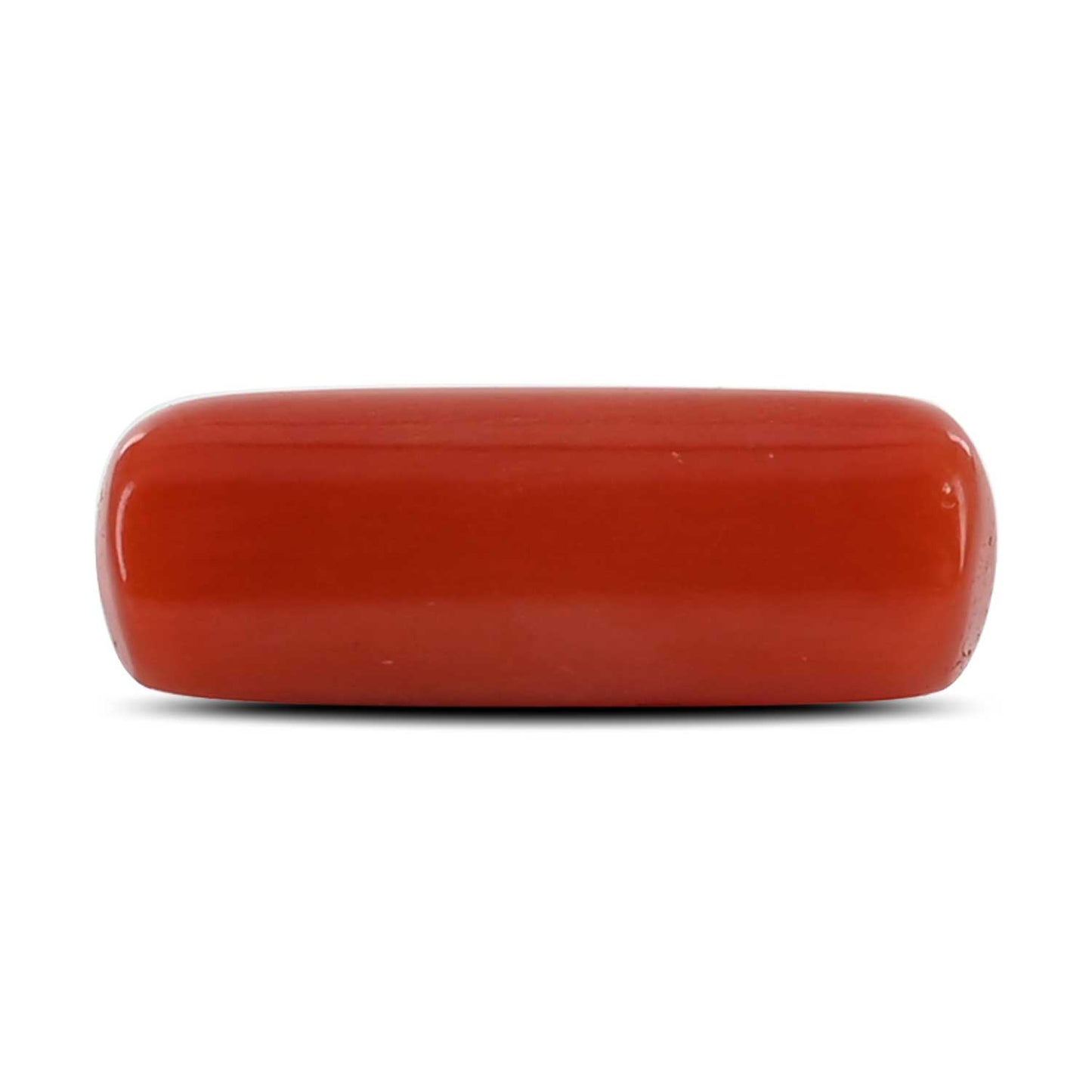 Red Coral (Moonga) - 4.65 Carat