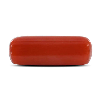 Red Coral (Moonga) - 4.65 Carat