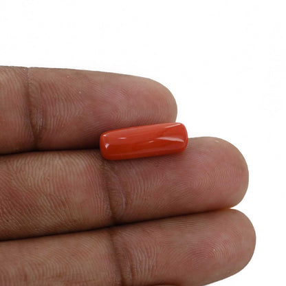Red Coral (Moonga) - 4.65 Carat