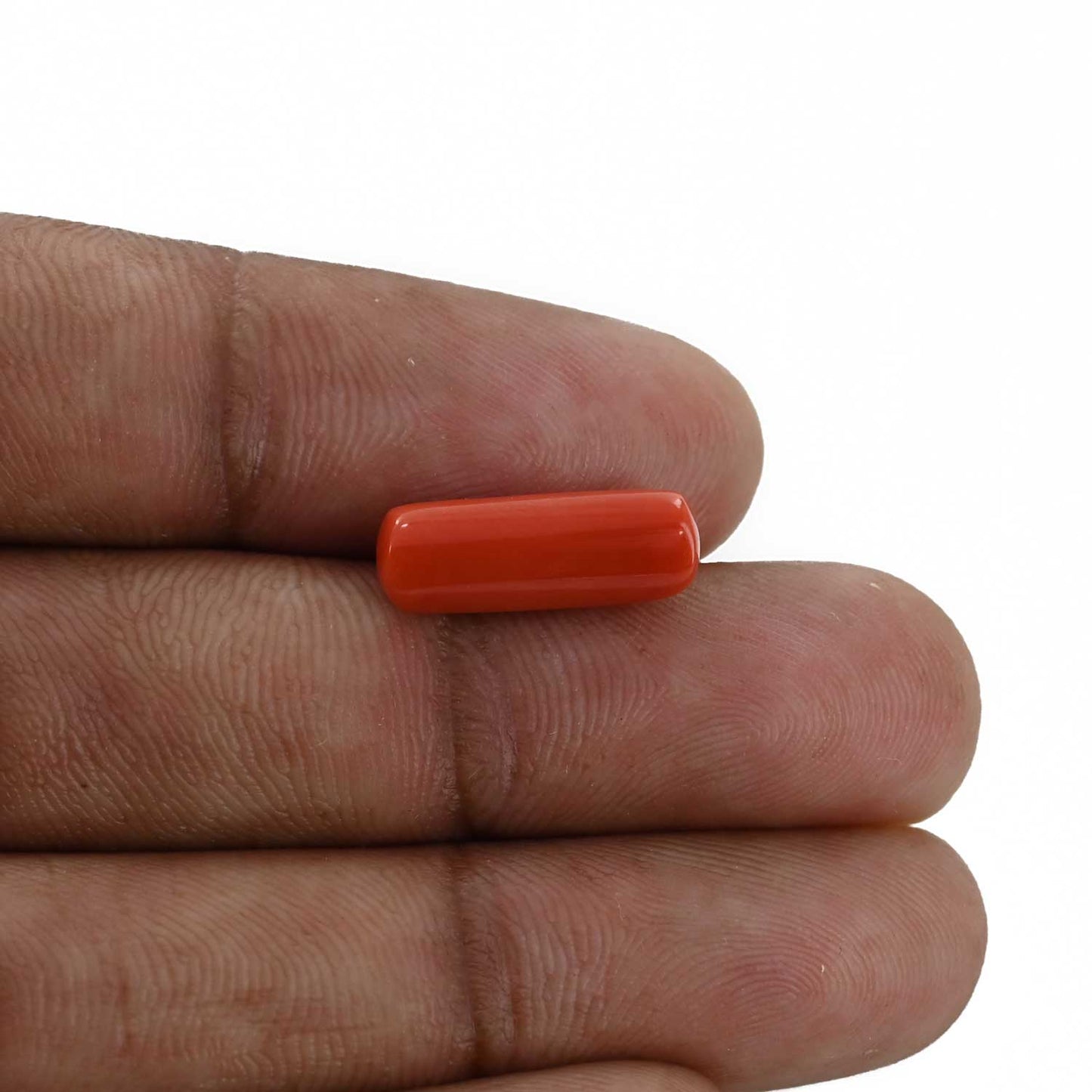 Red Coral (Moonga) - 4.65 Carat