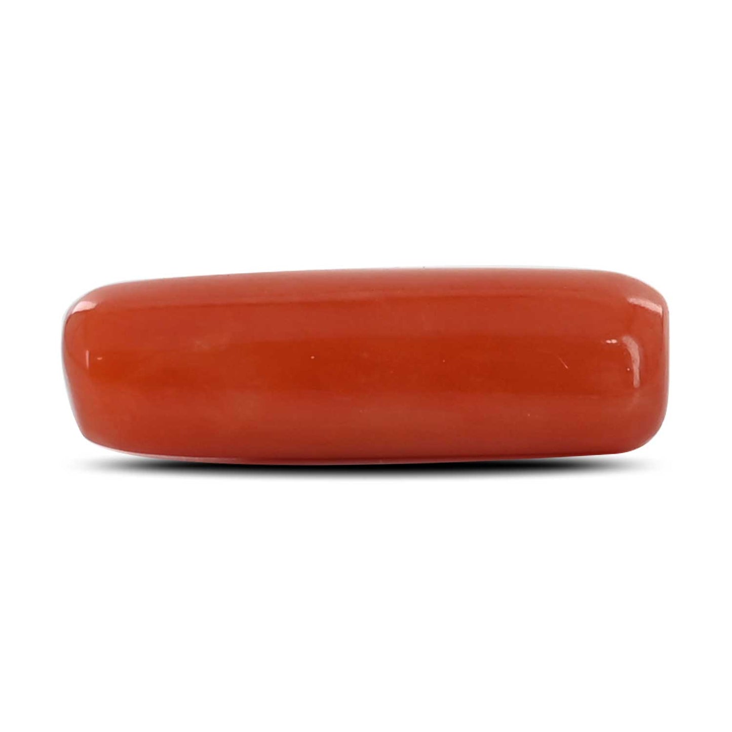 Red Coral (Moonga) - 6.26 Carat