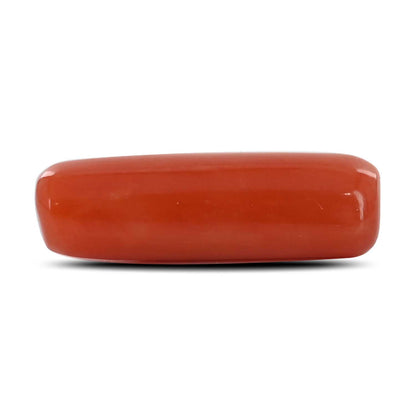 Red Coral (Moonga) - 6.26 Carat