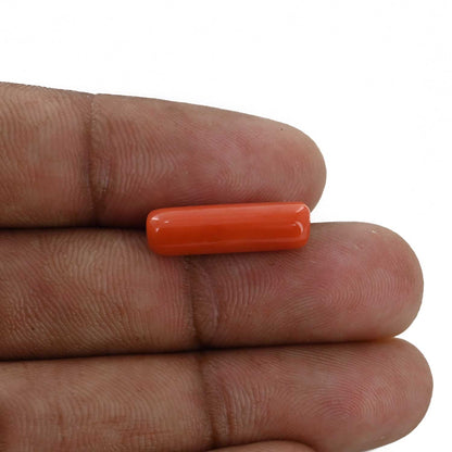 Red Coral (Moonga) - 6.26 Carat