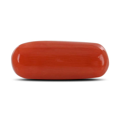 Red Coral (Moonga) - 4.64 Carat