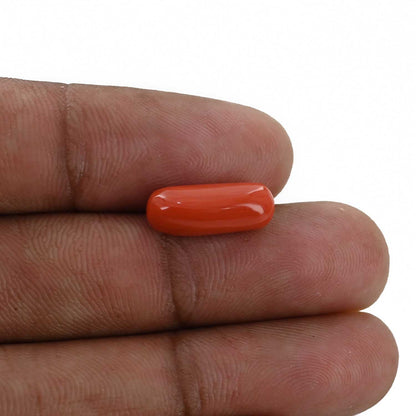 Red Coral (Moonga) - 4.64 Carat