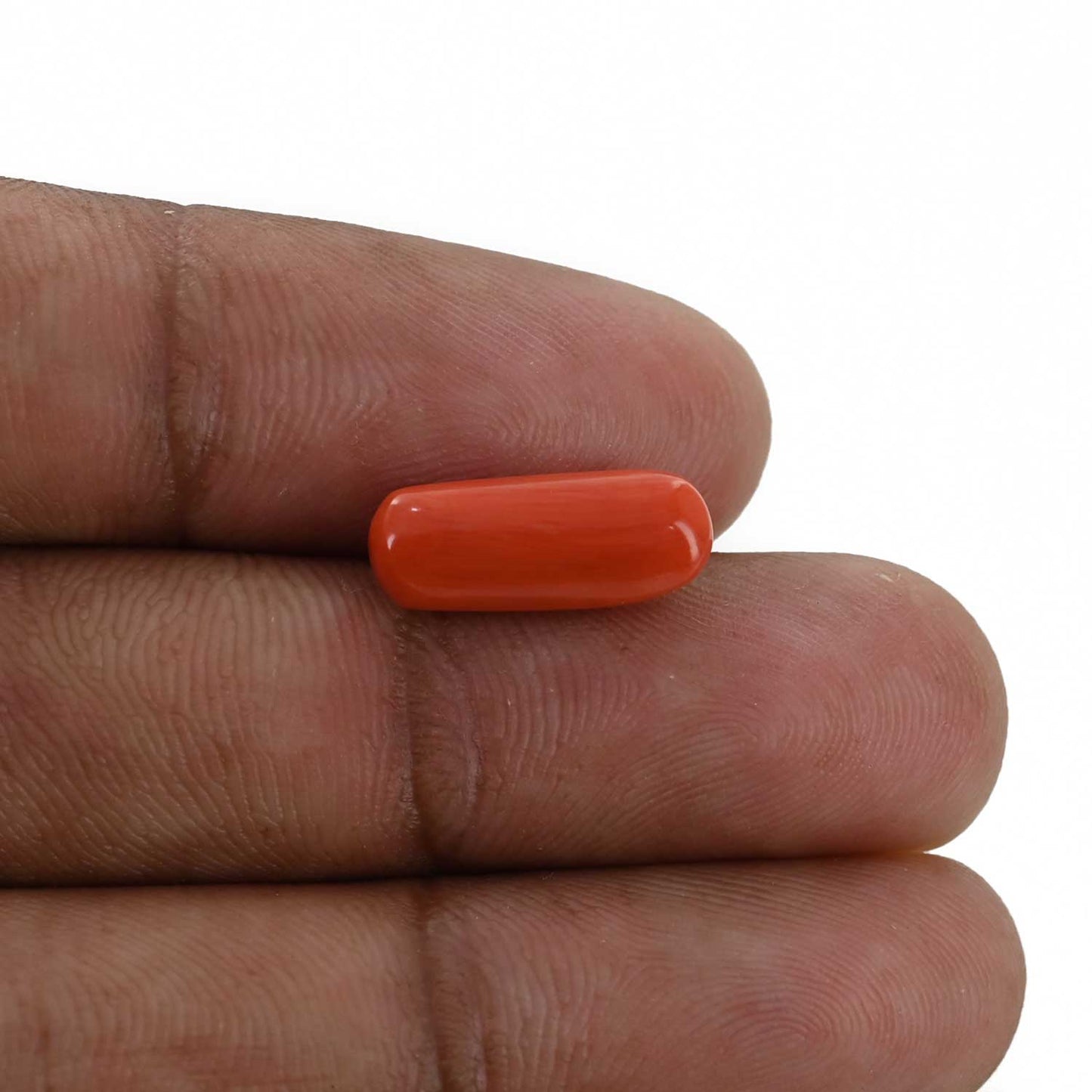 Red Coral (Moonga) - 4.64 Carat