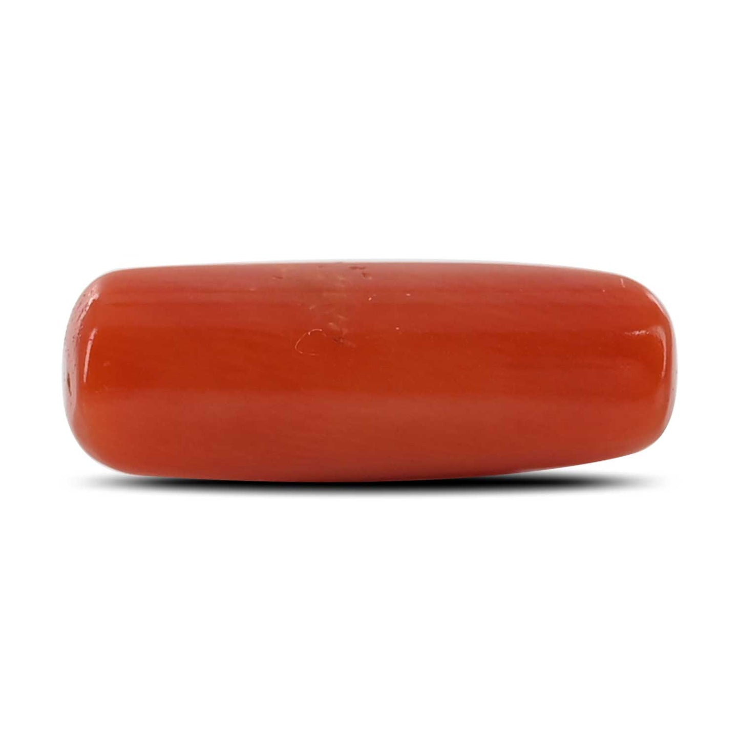 Red Coral (Moonga) - 5.23 Carat