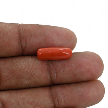Red Coral (Moonga) - 5.23 Carat