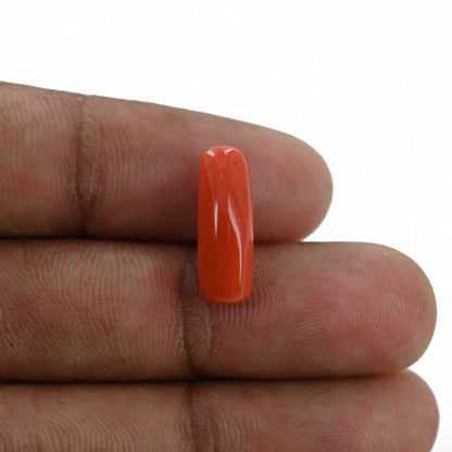 Red Coral (Moonga) - 5.23 Carat
