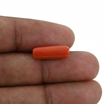 Red Coral (Moonga) - 5.23 Carat