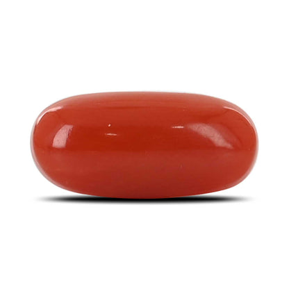 Red Coral (Moonga) - 5.34 Carat