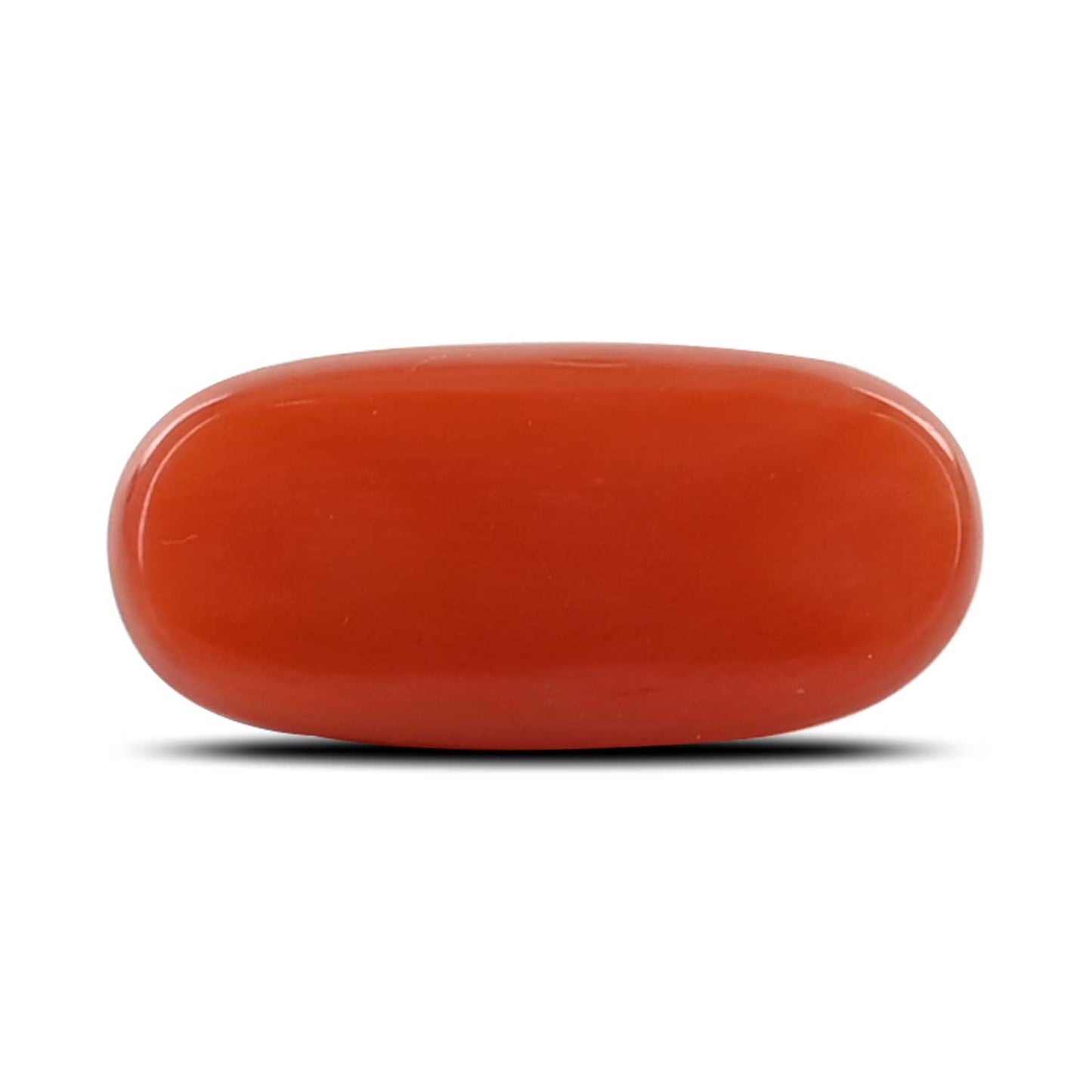 Red Coral (Moonga) - 5.34 Carat