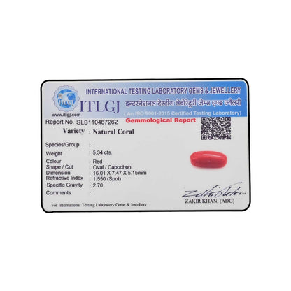 Red Coral (Moonga) - 5.34 Carat
