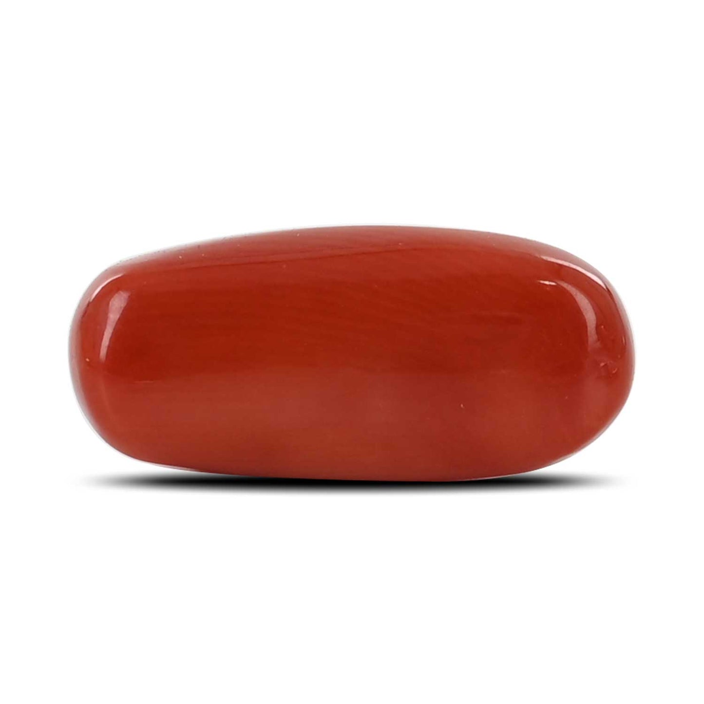 Red Coral (Moonga) - 7.12 Carat