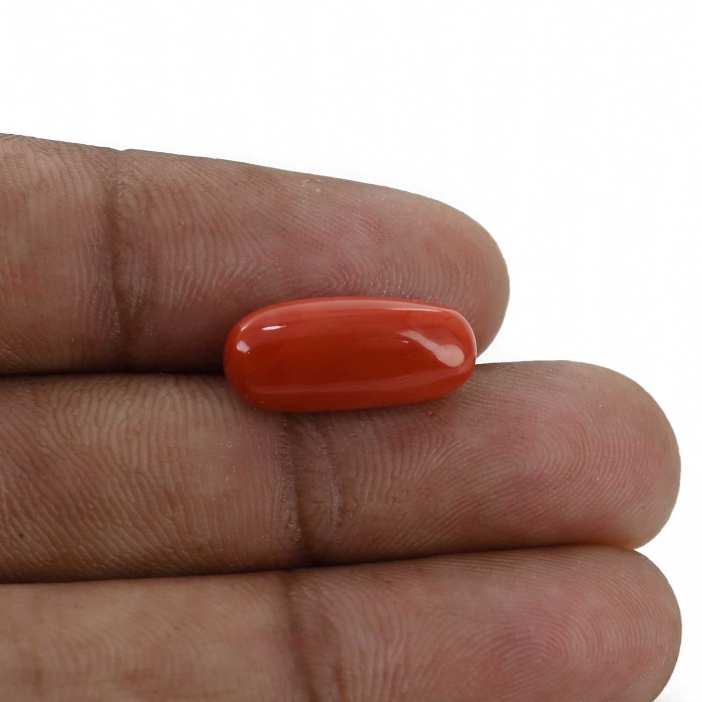 Red Coral (Moonga) - 7.12 Carat