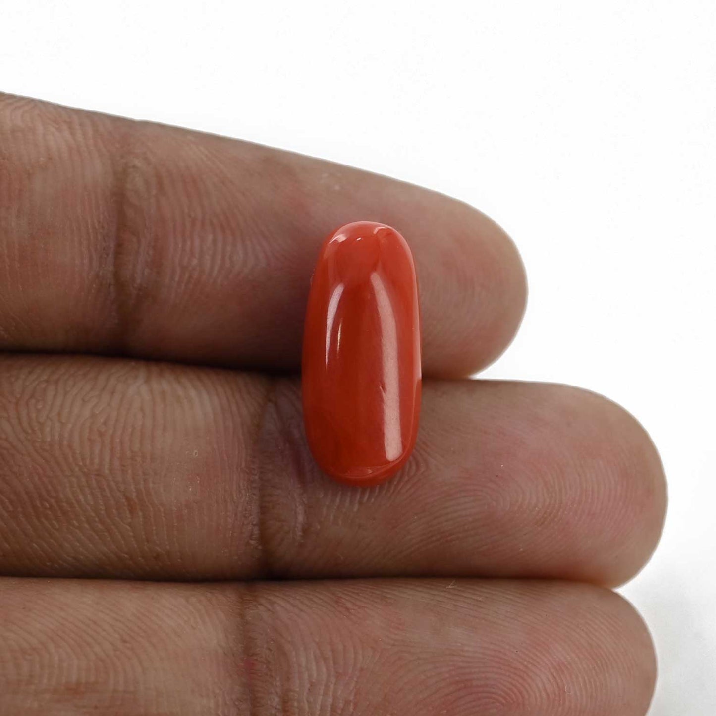 Red Coral (Moonga) - 7.12 Carat