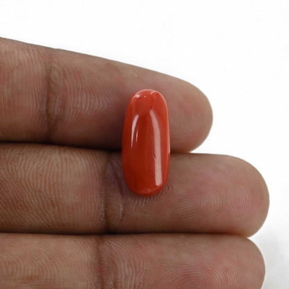 Red Coral (Moonga) - 7.12 Carat