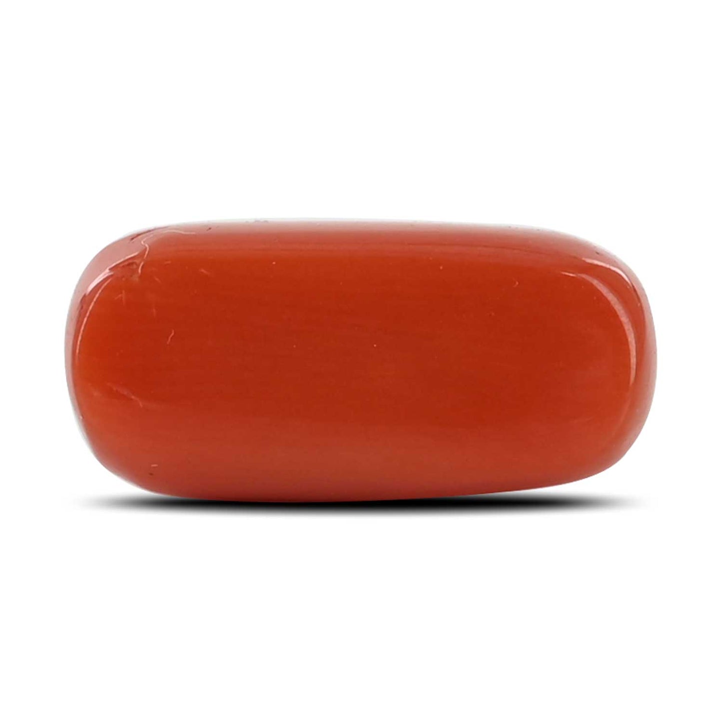 Red Coral (Moonga) - 6.41 Carat