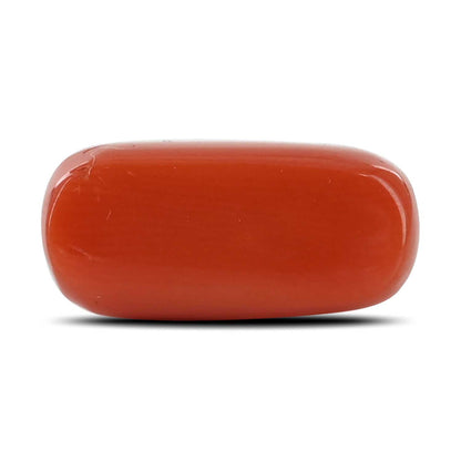 Red Coral (Moonga) - 6.41 Carat