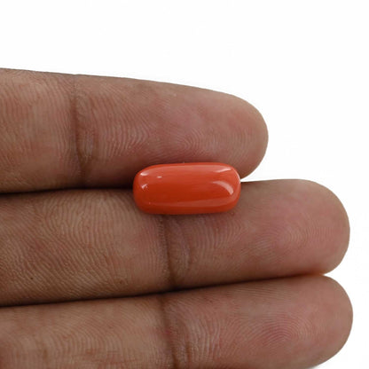Red Coral (Moonga) - 6.41 Carat