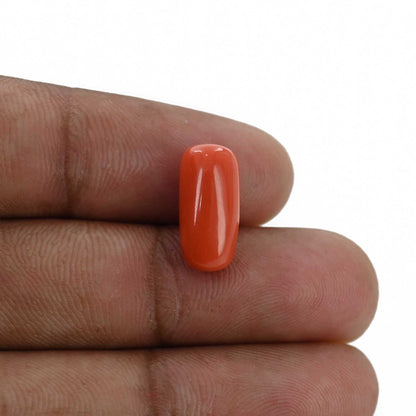 Red Coral (Moonga) - 6.41 Carat