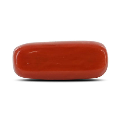 Red Coral (Moonga) - 6 Carat