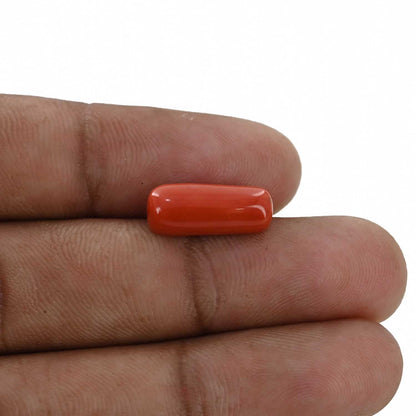 Red Coral (Moonga) - 6 Carat