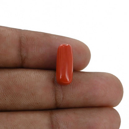Red Coral (Moonga) - 6 Carat