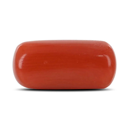Red Coral (Moonga) - 5.42 Carat