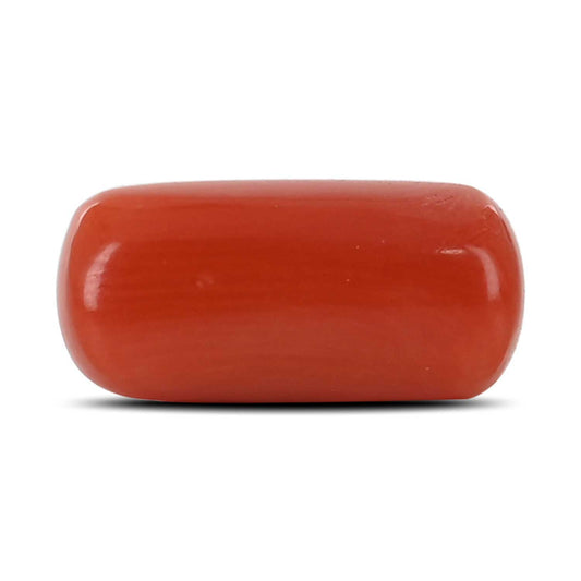Red Coral (Moonga) - 5.42 Carat