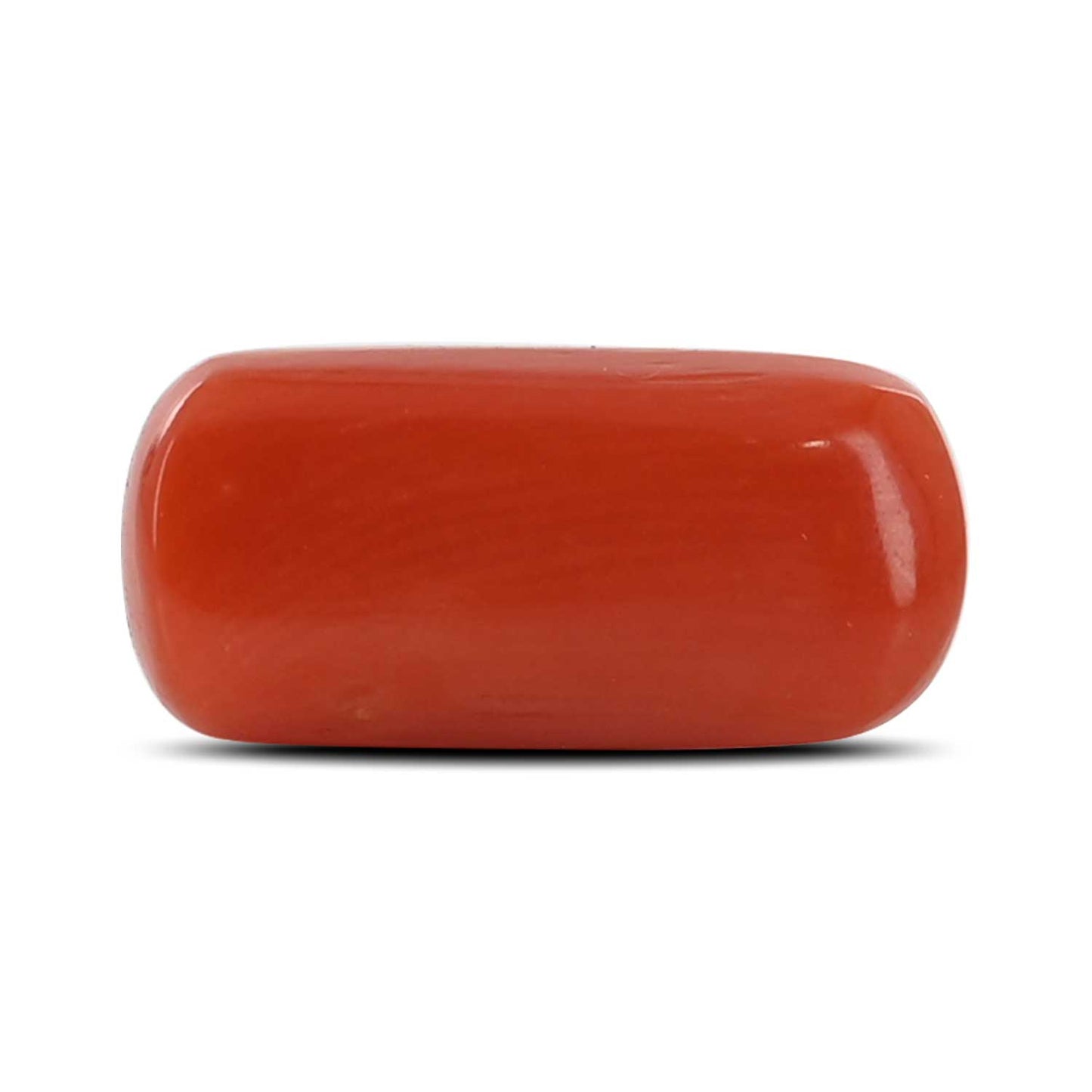 Red Coral (Moonga) - 5.42 Carat