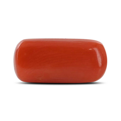 Red Coral (Moonga) - 5.42 Carat
