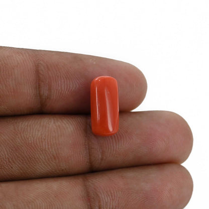 Red Coral (Moonga) - 5.42 Carat