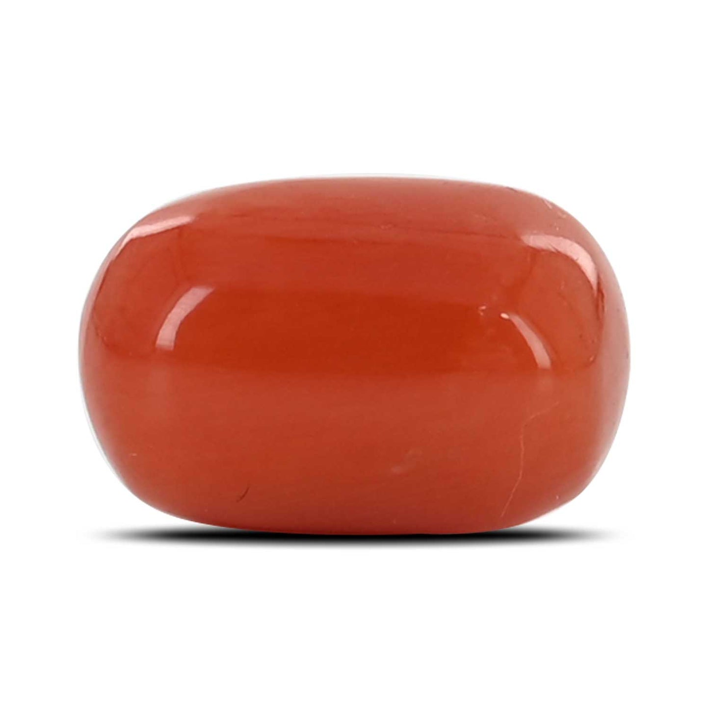 Red Coral (Moonga) - 5.36 Carat