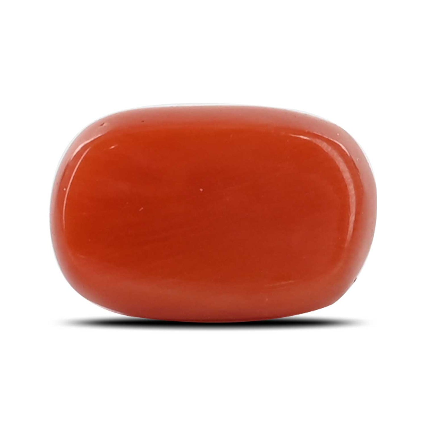 Red Coral (Moonga) - 5.36 Carat
