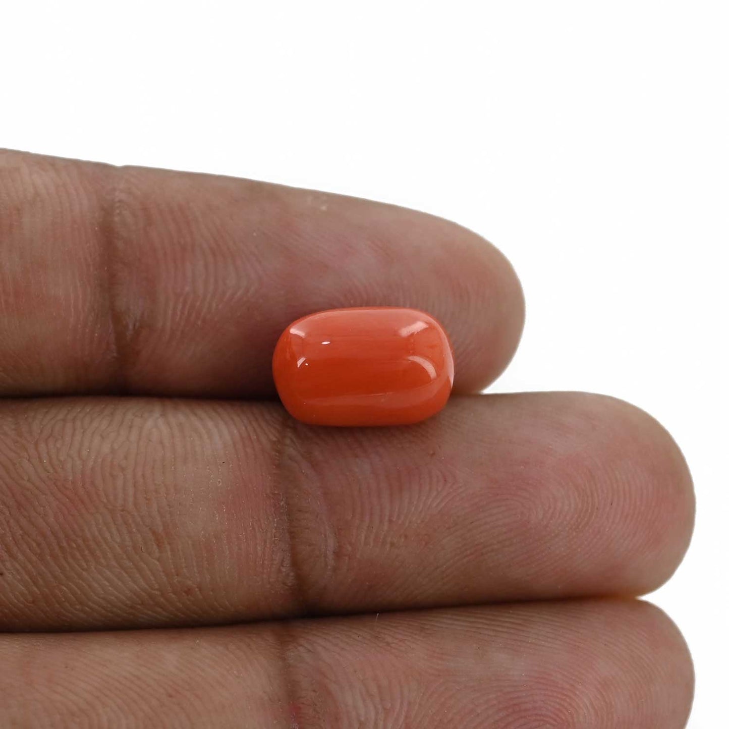 Red Coral (Moonga) - 5.36 Carat