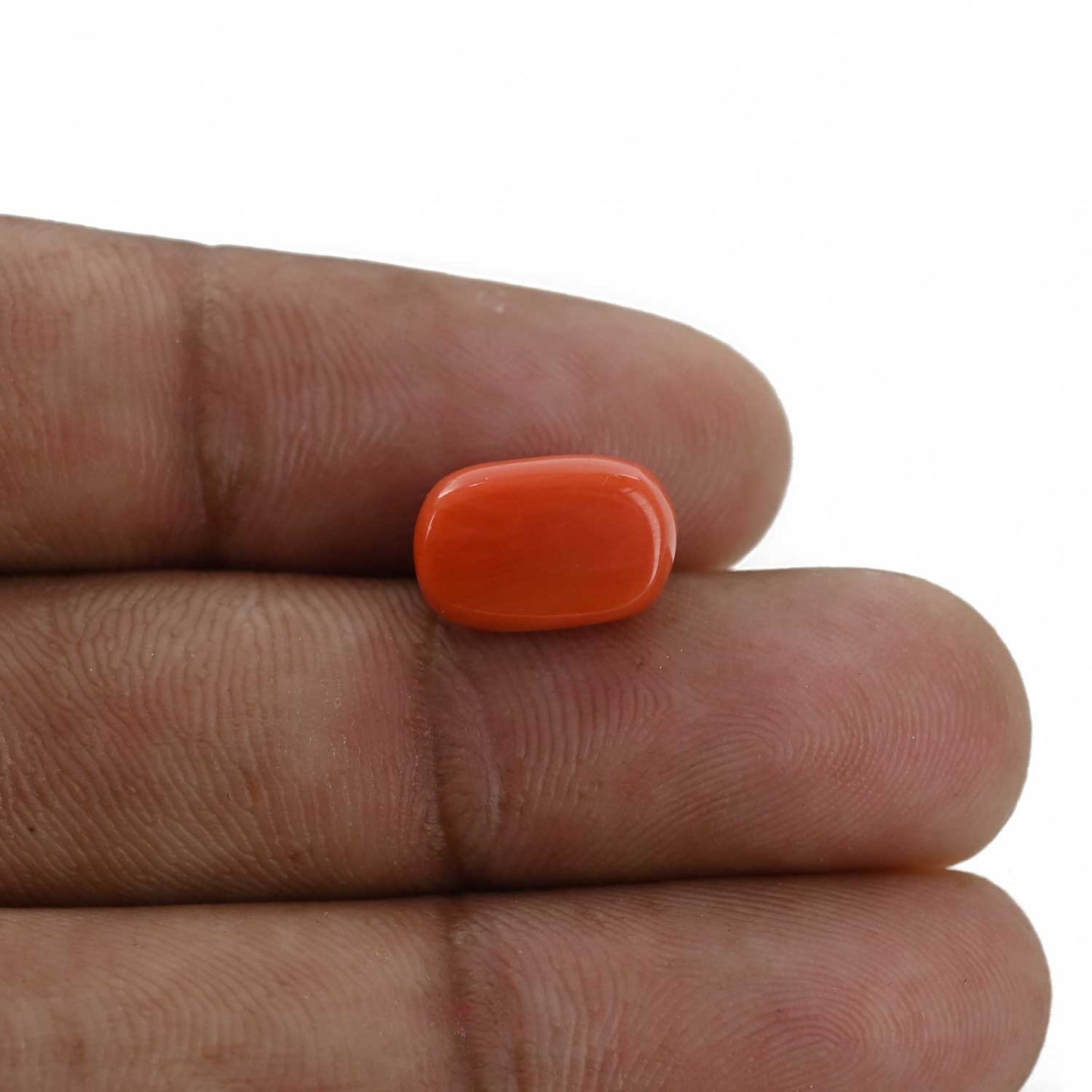 Red Coral (Moonga) - 5.36 Carat