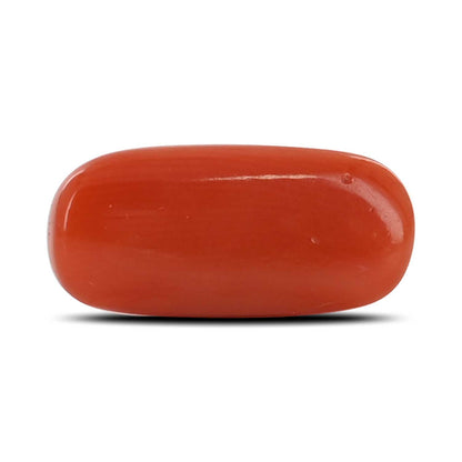 Red Coral (Moonga) - 6.56 Carat