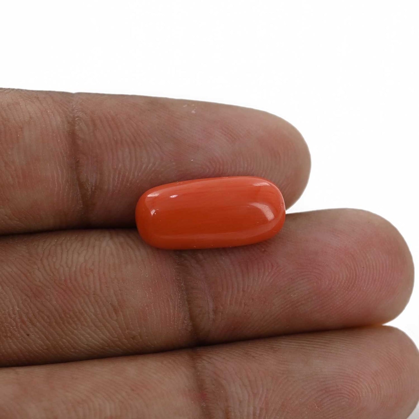 Red Coral (Moonga) - 6.56 Carat