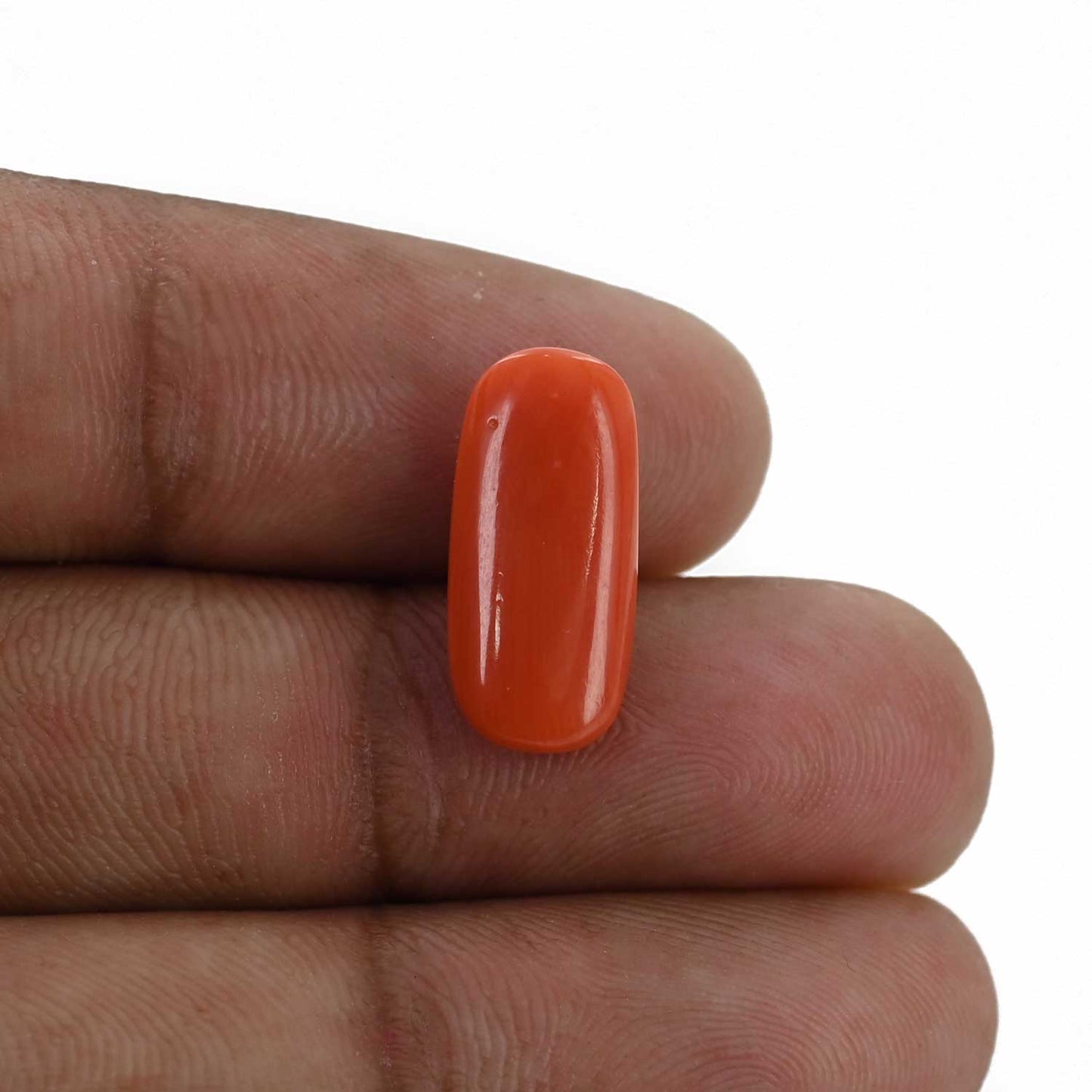 Red Coral (Moonga) - 6.56 Carat