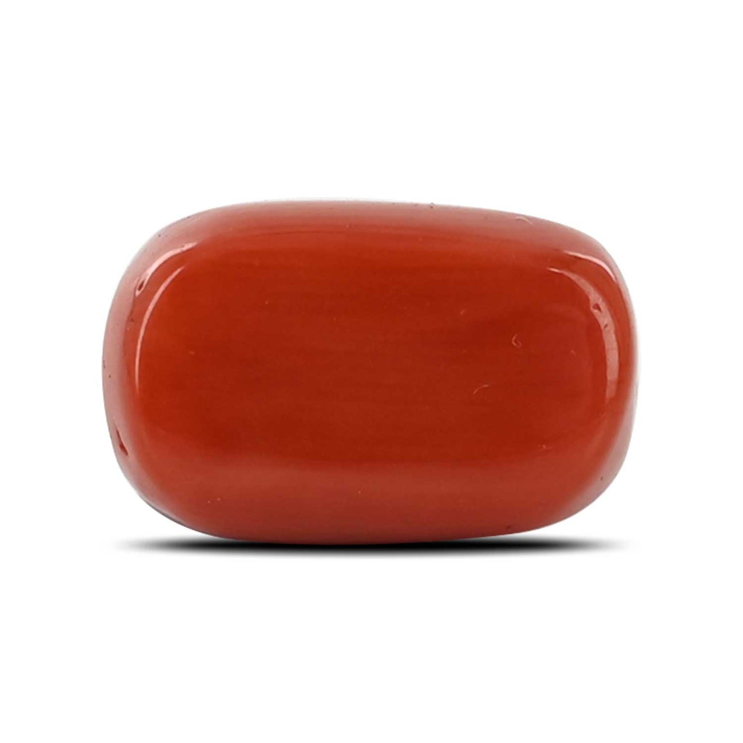 Red Coral (Moonga) - 6.13 Carat
