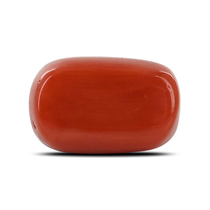 Red Coral (Moonga) - 6.13 Carat