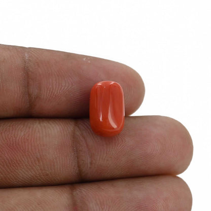 Red Coral (Moonga) - 6.13 Carat