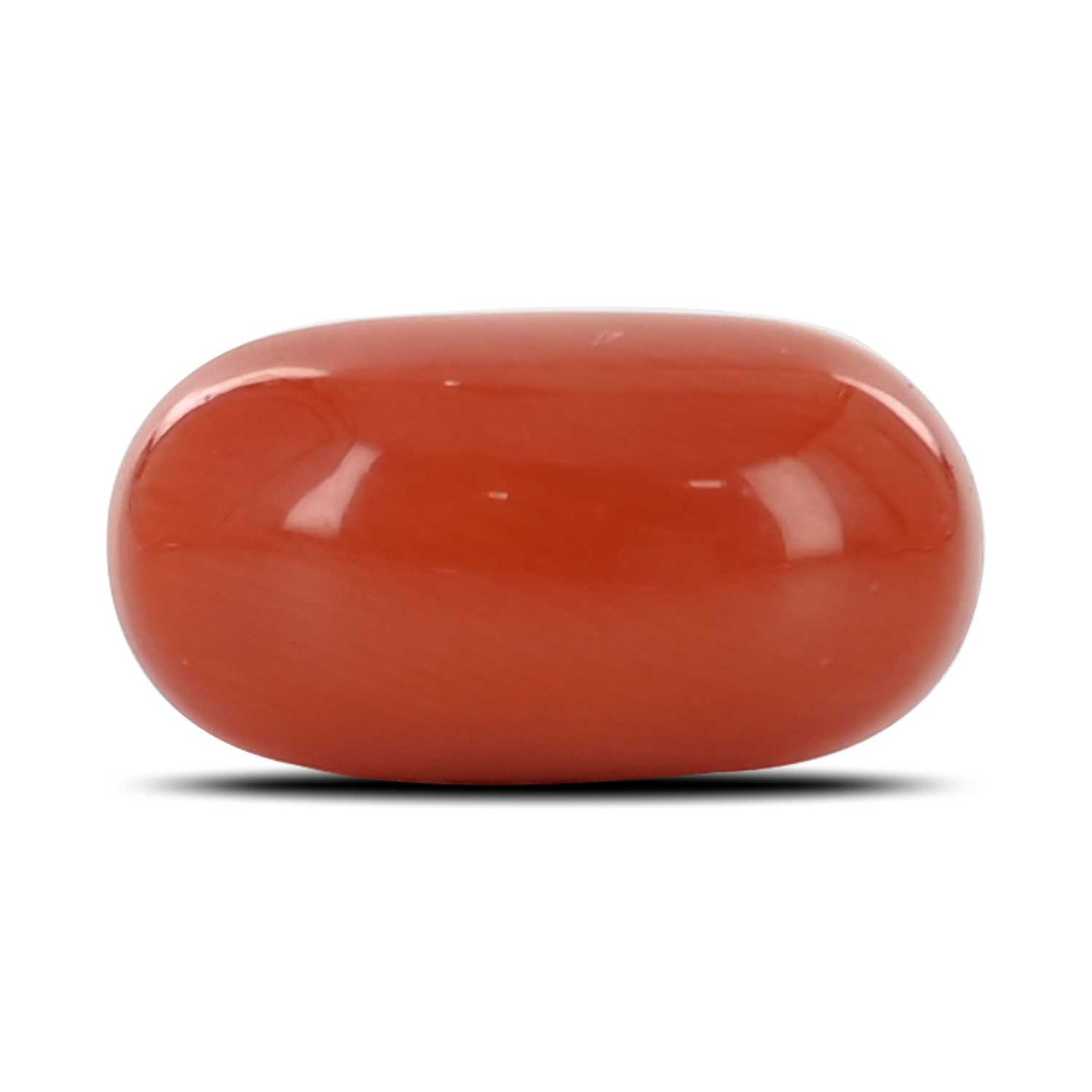 Red Coral (Moonga) - 5.37 Carat