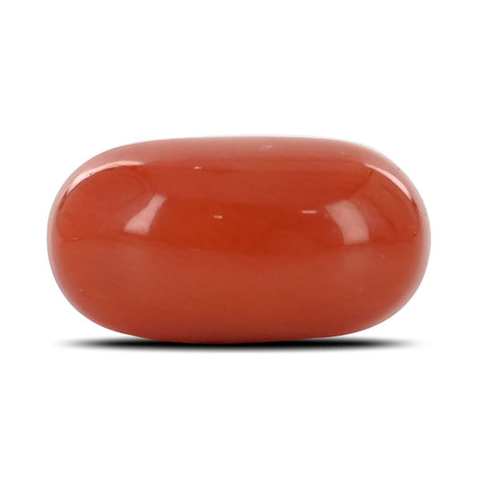 Red Coral (Moonga) - 5.37 Carat
