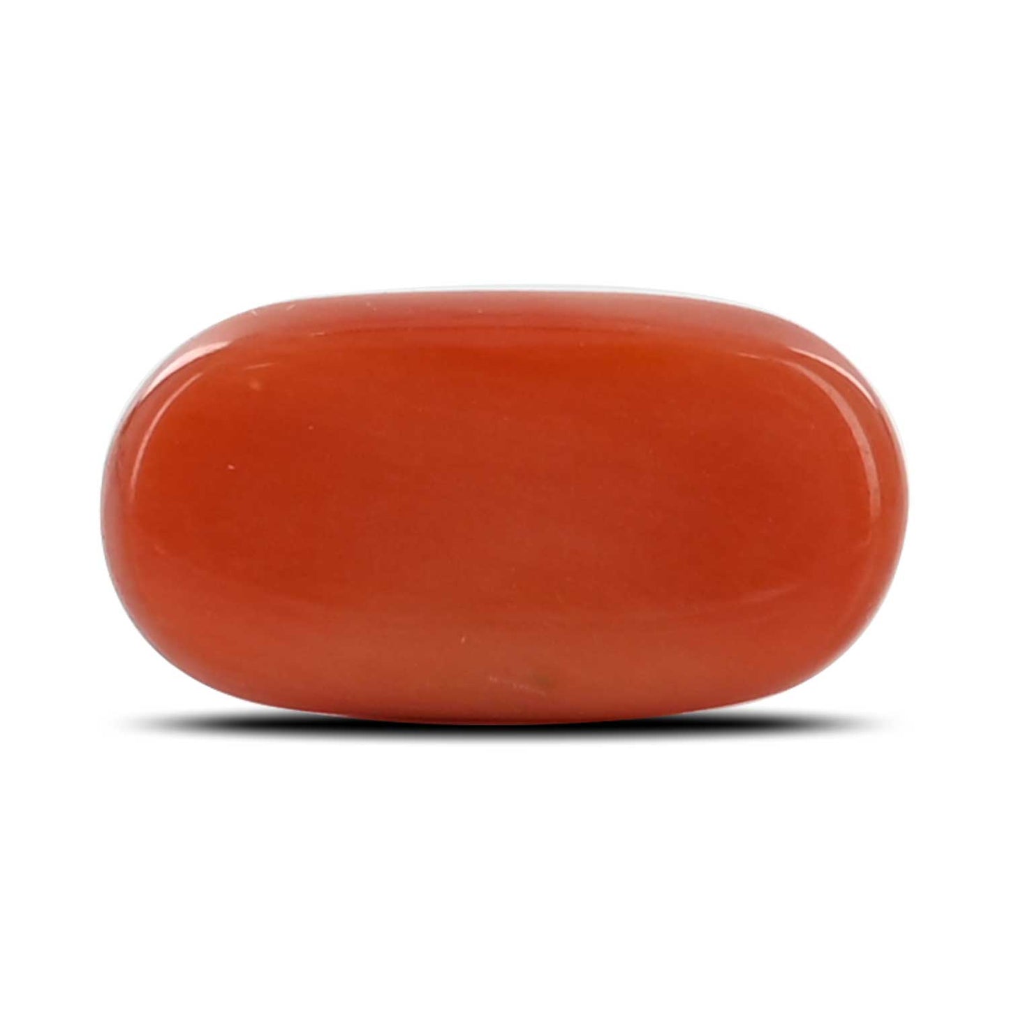 Red Coral (Moonga) - 5.37 Carat